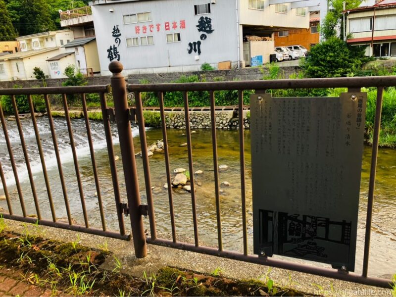 栃尾のうま市で夕涼み