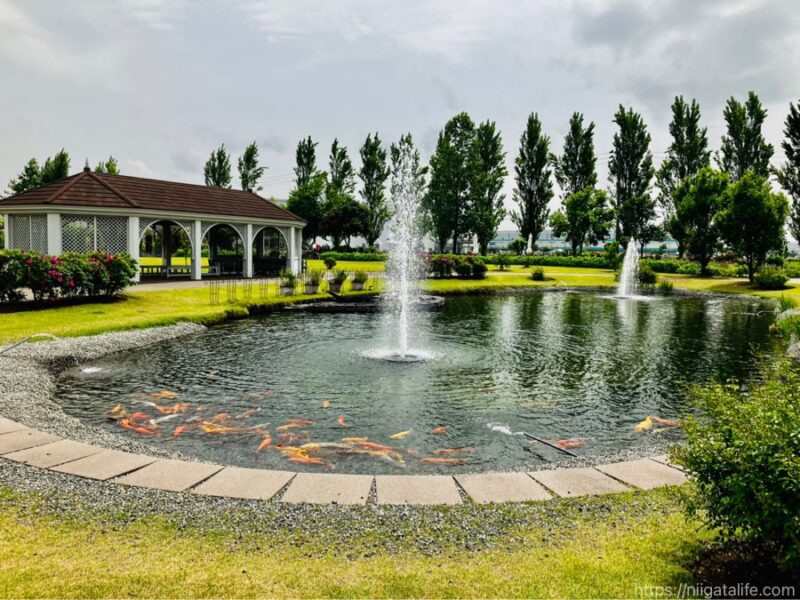 見附イングリッシュガーデンフラワーフェスティバル