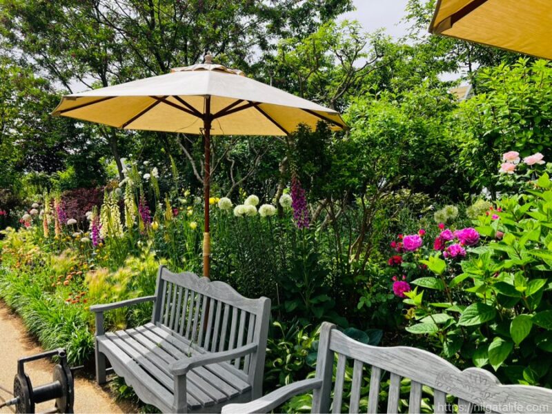 見附イングリッシュガーデンフラワーフェスティバル