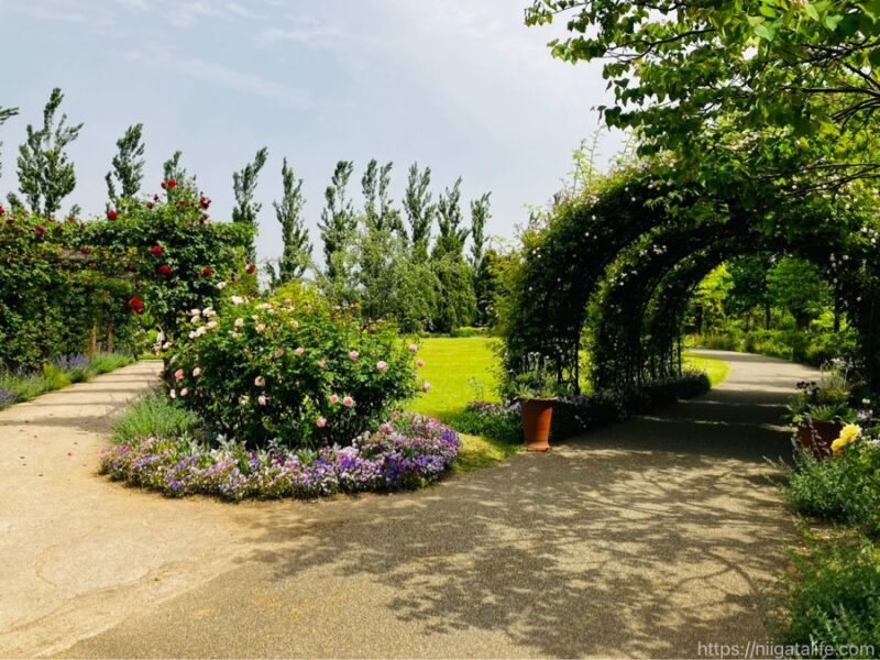 見附イングリッシュガーデンフラワーフェスティバル