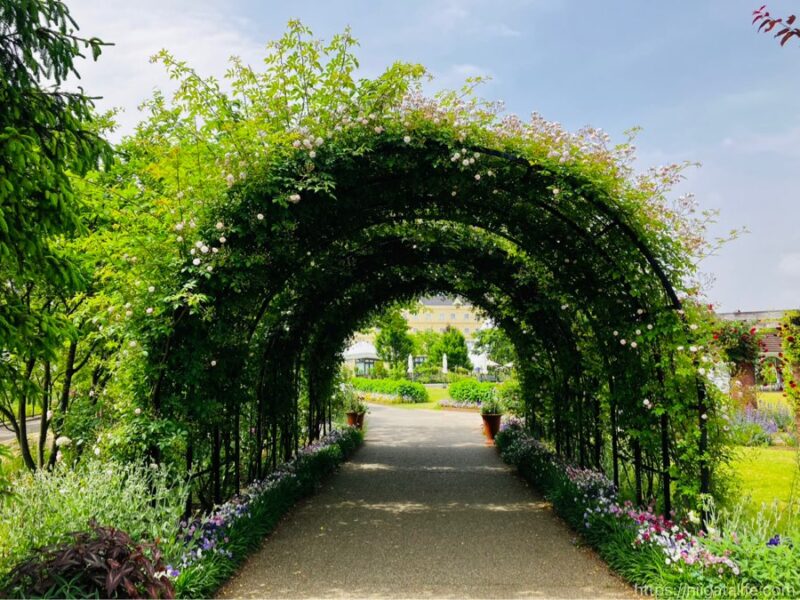 見附イングリッシュガーデンフラワーフェスティバル