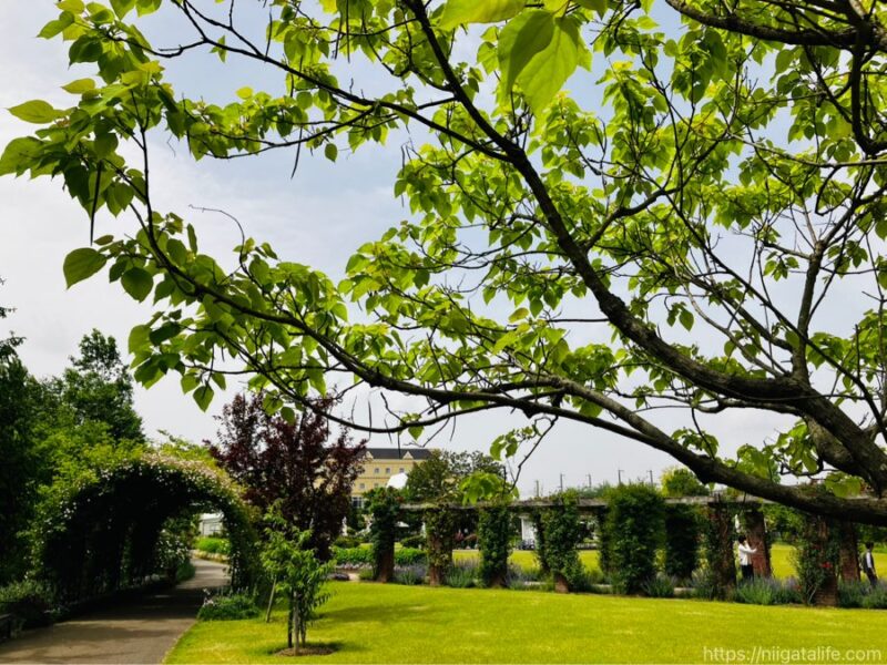 見附イングリッシュガーデンフラワーフェスティバル