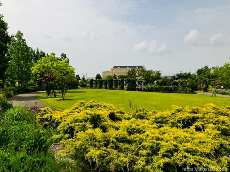 見附イングリッシュガーデンフラワーフェスティバル