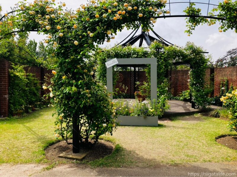 見附イングリッシュガーデンフラワーフェスティバル