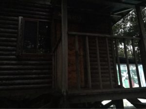 オグニ―リターンズ