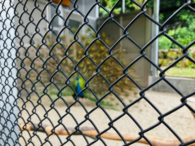 樽ヶ橋遊園