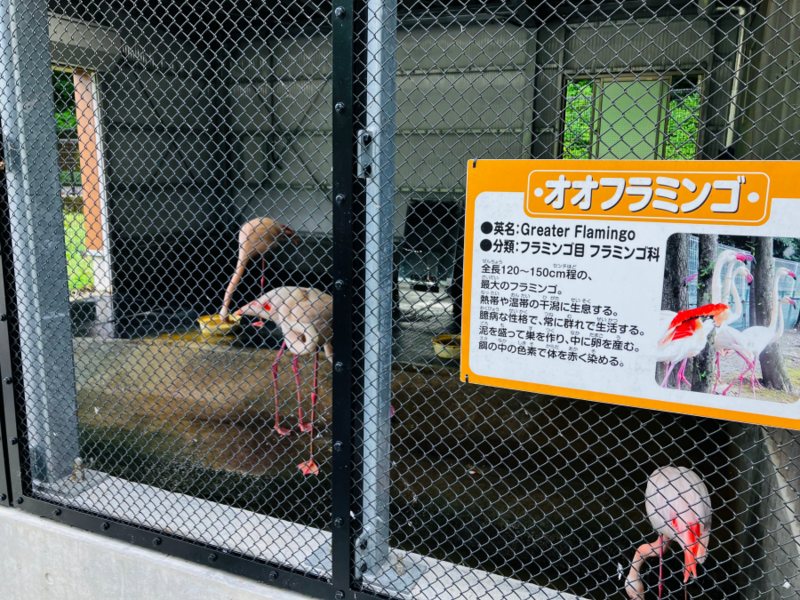 樽ヶ橋遊園