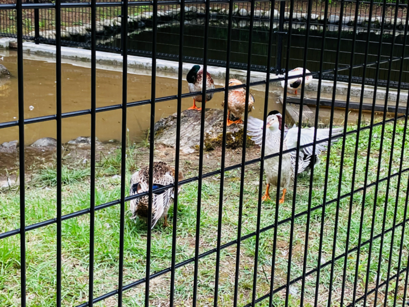 樽ヶ橋遊園