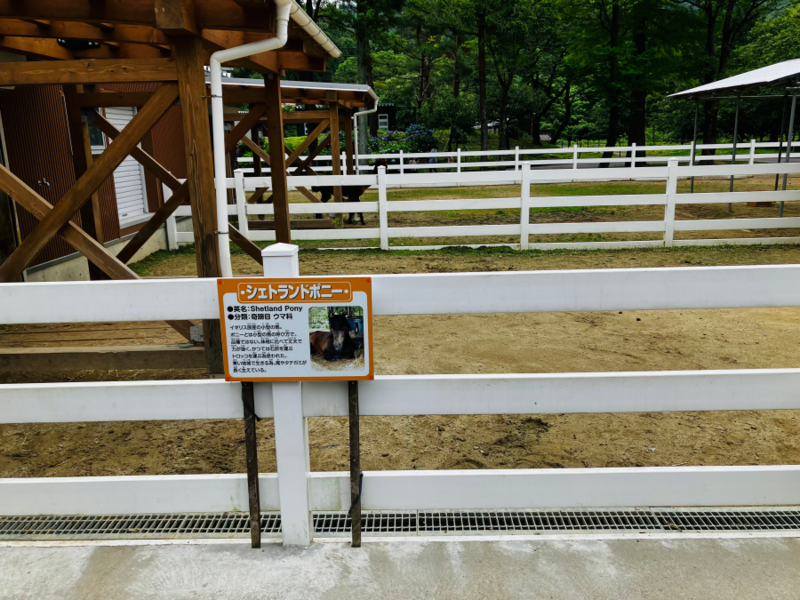 樽ヶ橋遊園