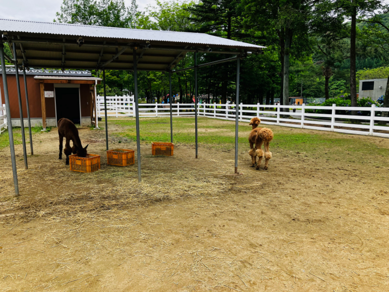 樽ヶ橋遊園