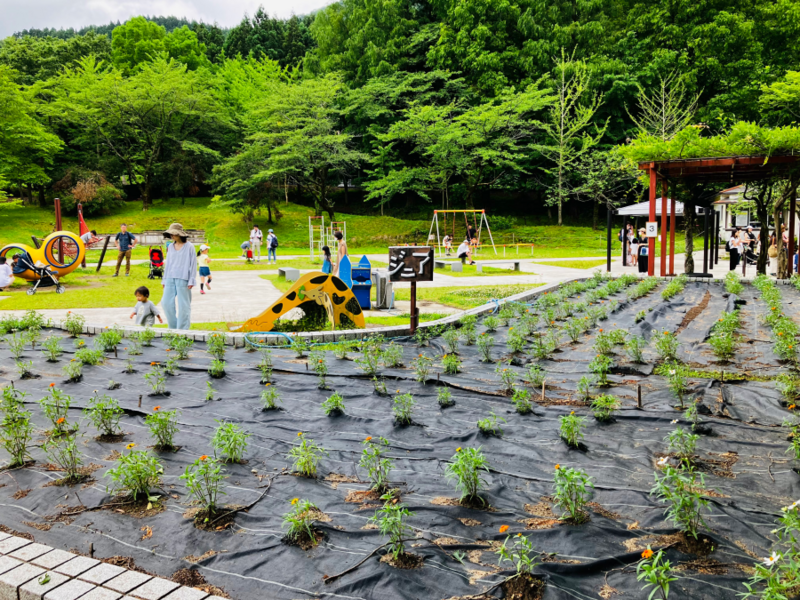 樽ヶ橋遊園