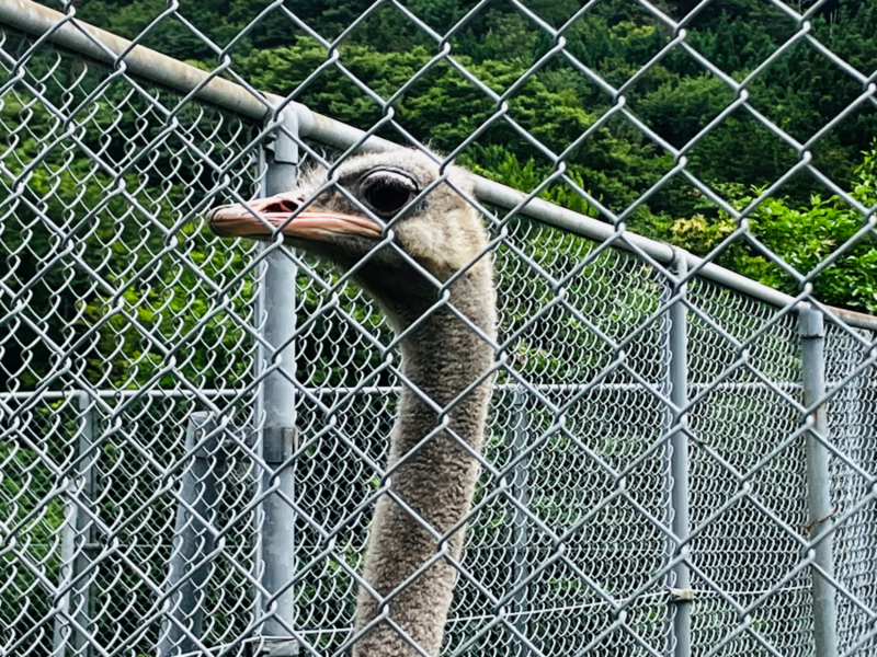 樽ヶ橋遊園