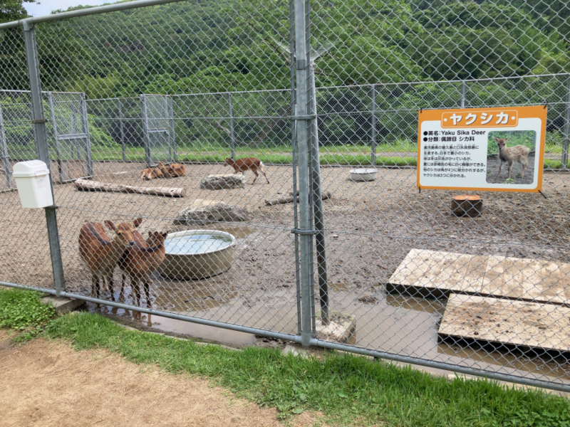 樽ヶ橋遊園