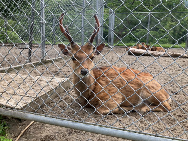 樽ヶ橋遊園