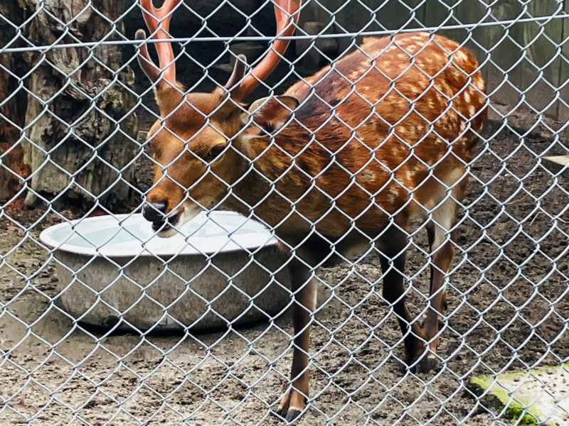 樽ヶ橋遊園