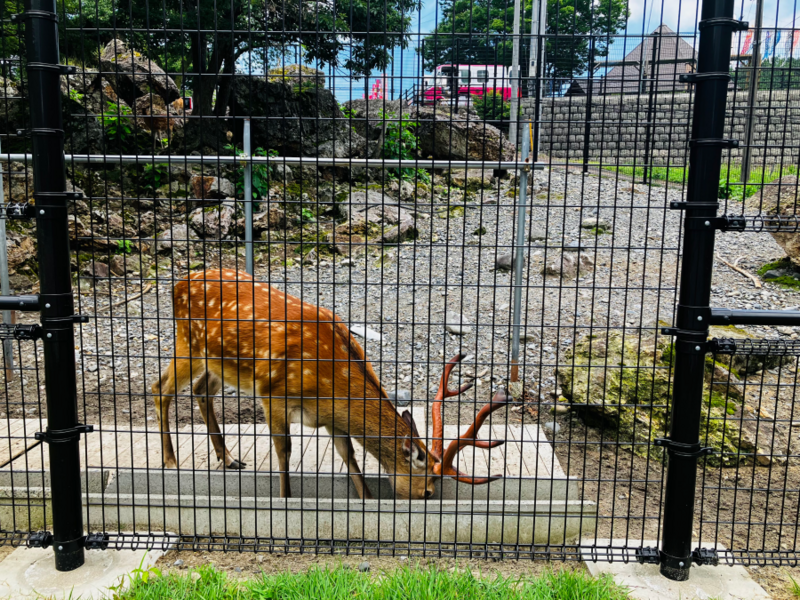 樽ヶ橋遊園