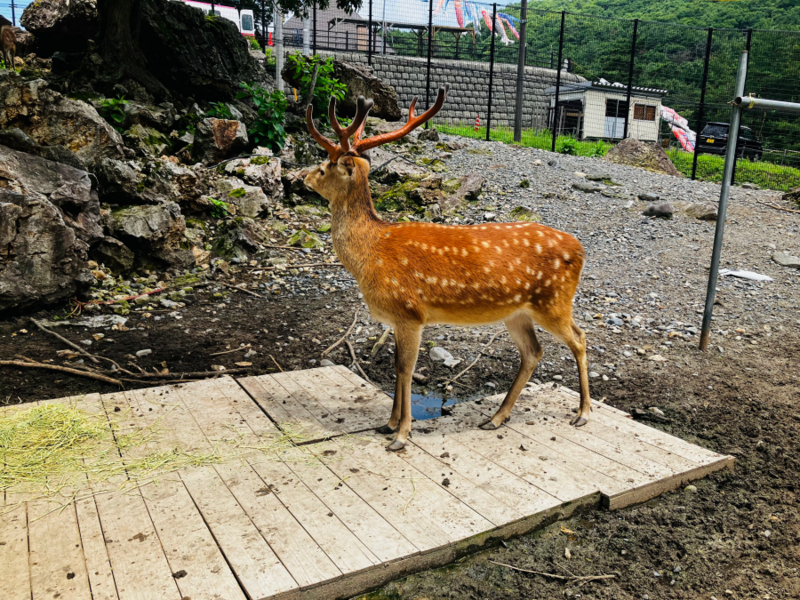 樽ヶ橋遊園