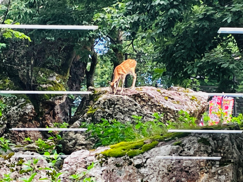 樽ヶ橋遊園