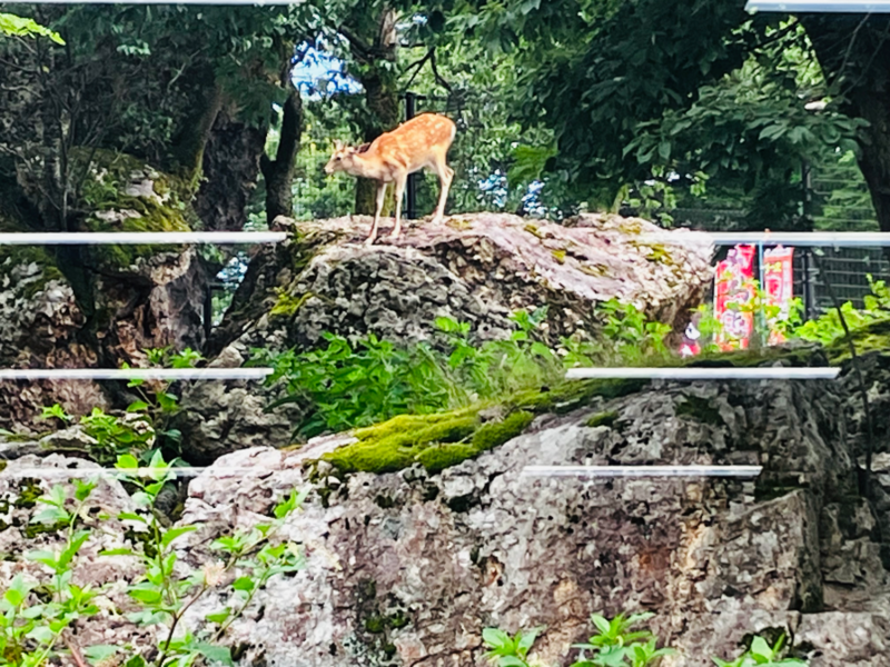 樽ヶ橋遊園