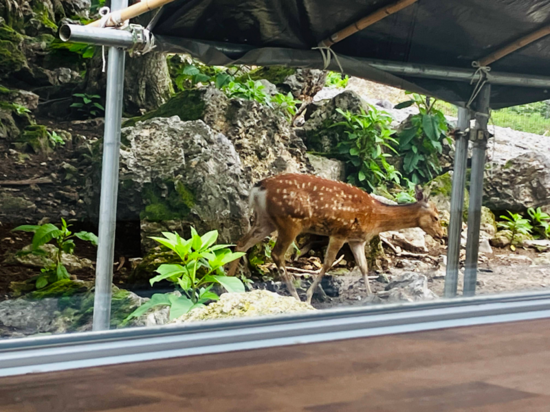 樽ヶ橋遊園