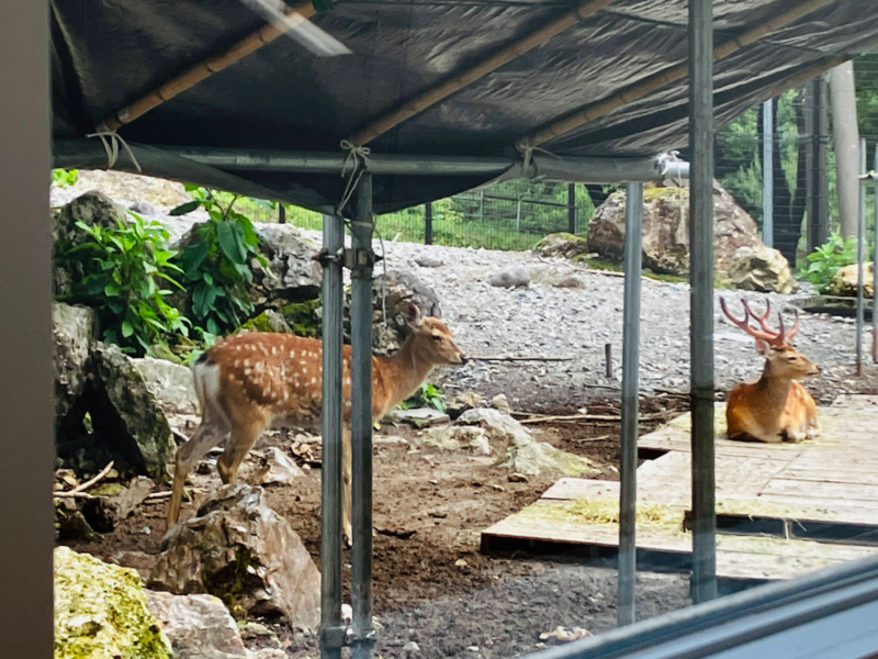 樽ヶ橋遊園