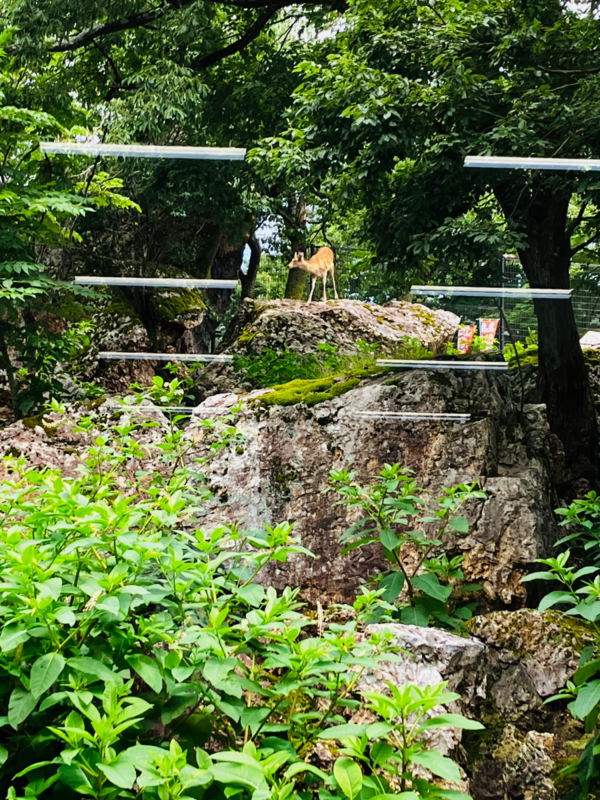 樽ヶ橋遊園