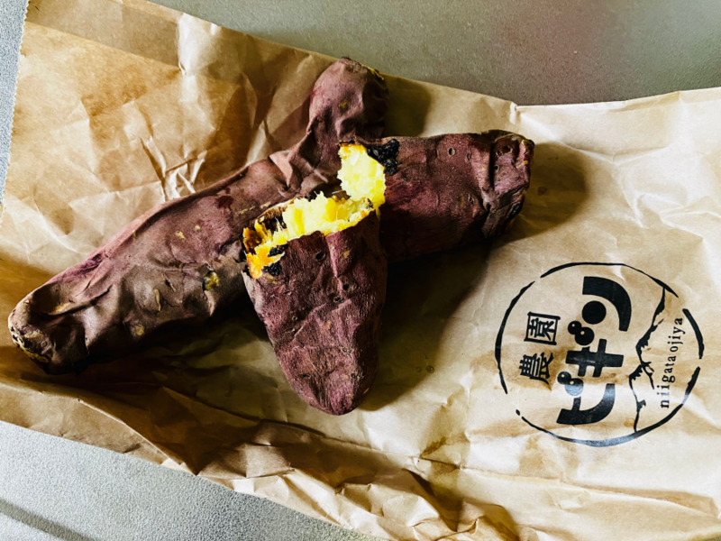 おぢや風船一揆2024