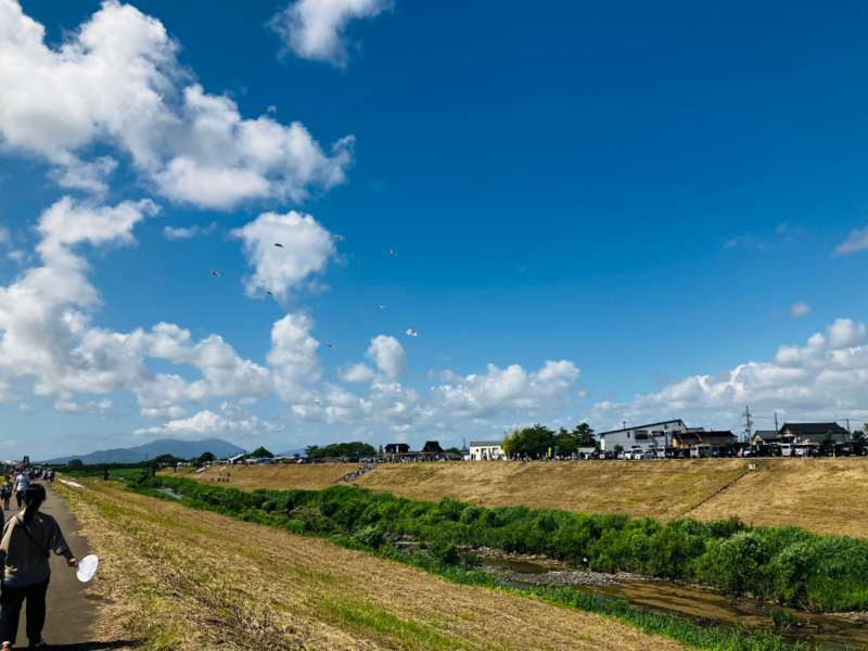 見附今町・長岡中之島大凧合戦