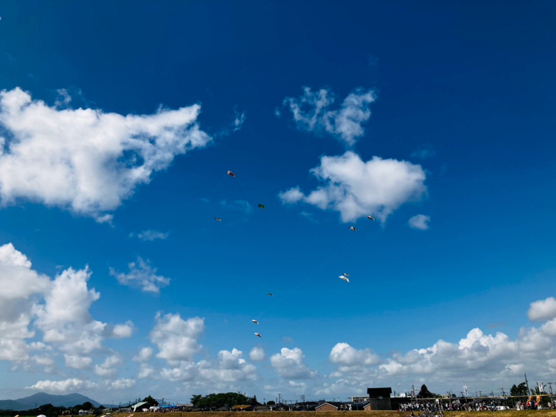 見附今町・長岡中之島大凧合戦