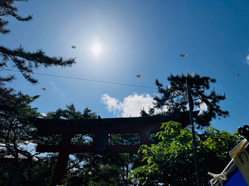 見附今町・長岡中之島大凧合戦