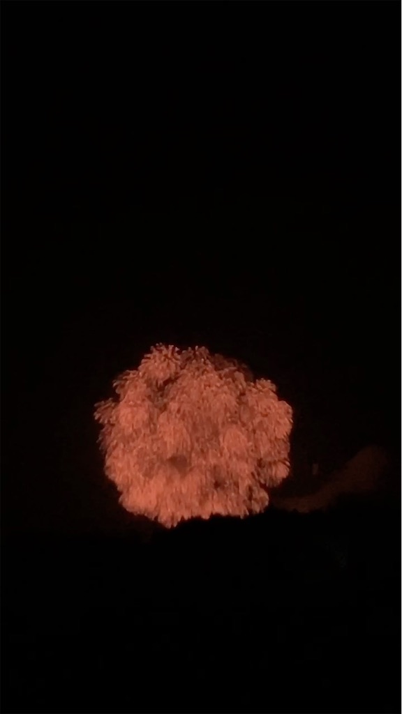 片貝花火
