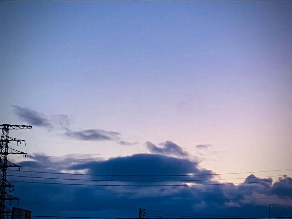 f:id:tsukushiiii:20241231073742j:image