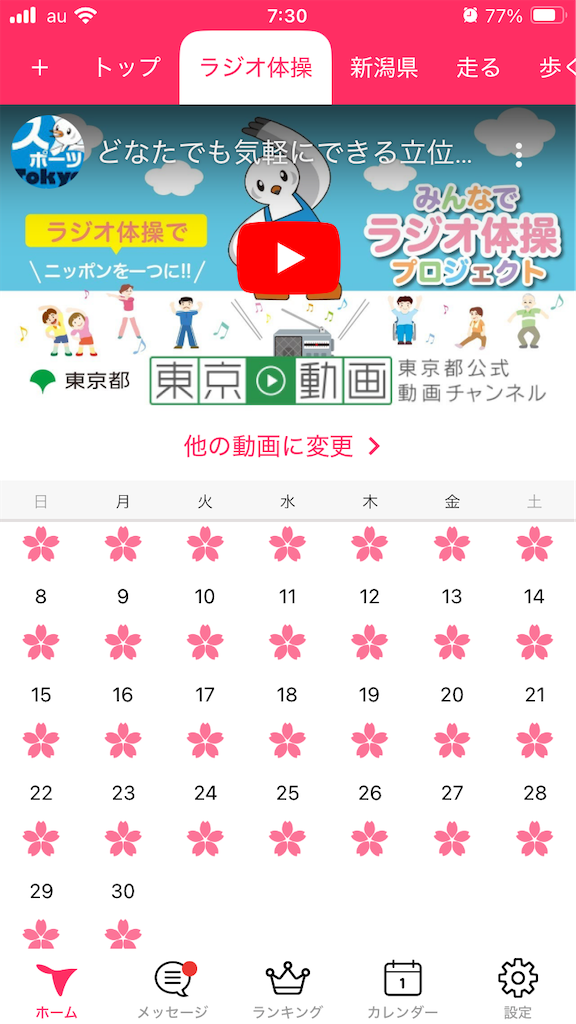 f:id:tsukushiiii:20241231073932p:image