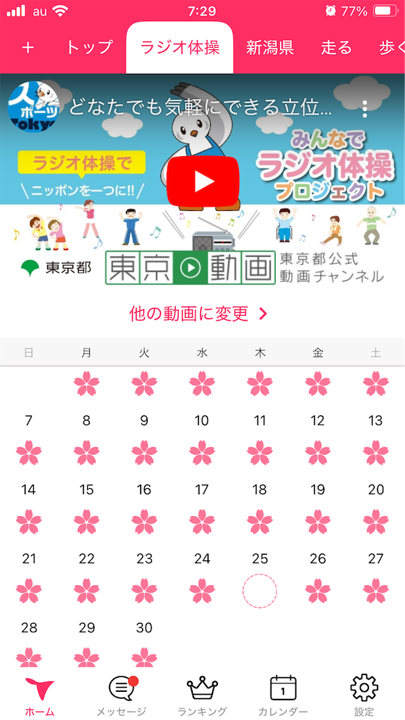 f:id:tsukushiiii:20241231074026p:image
