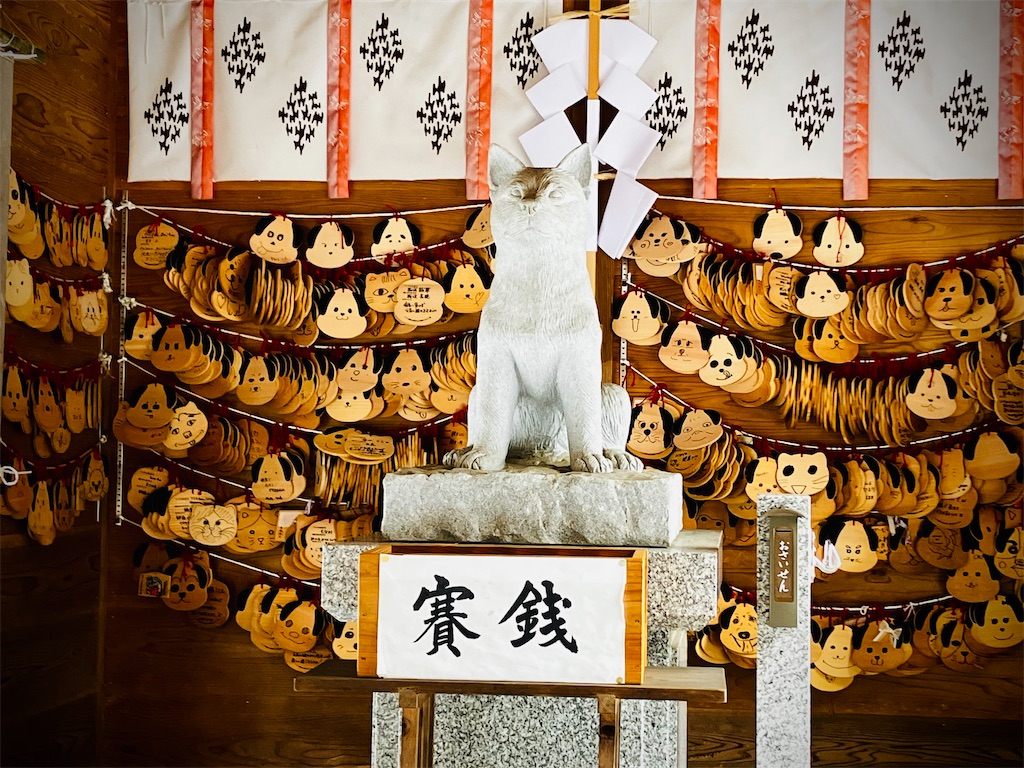 f:id:tsukushiiii:20250105212352j:image