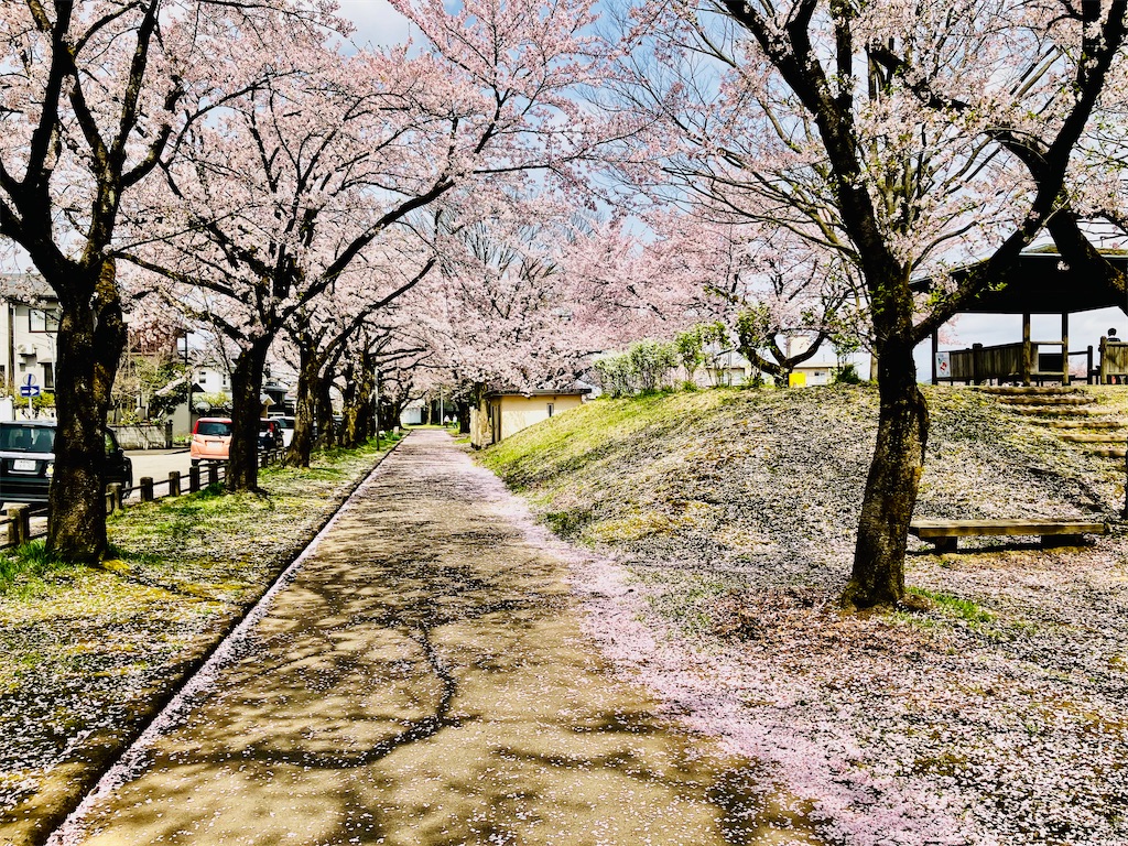 f:id:tsukushiiii:20250419193117j:image