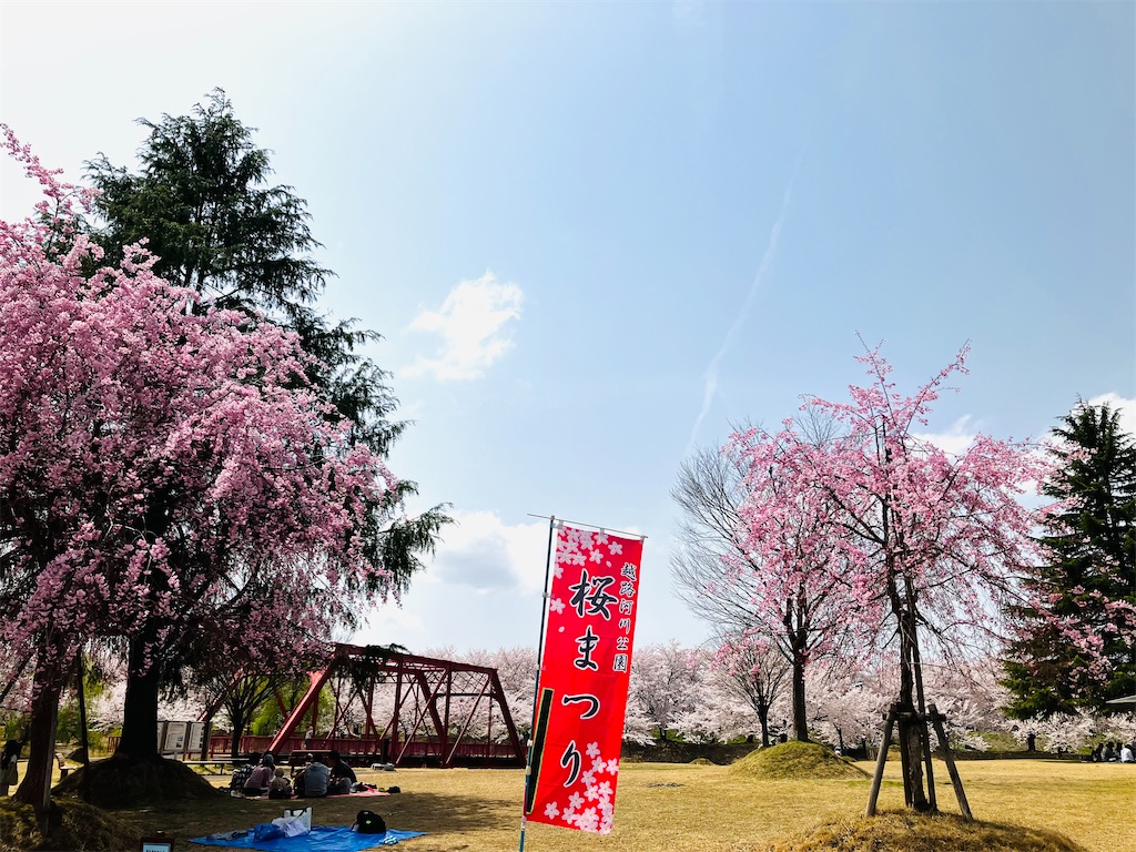 f:id:tsukushiiii:20250419203414j:image