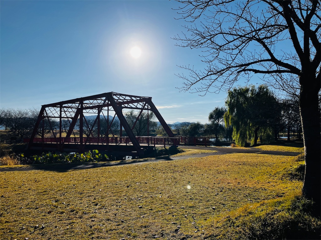 f:id:tsukushiiii:20251116172420j:image f:id:tsukushiiii:20251116172420j:image