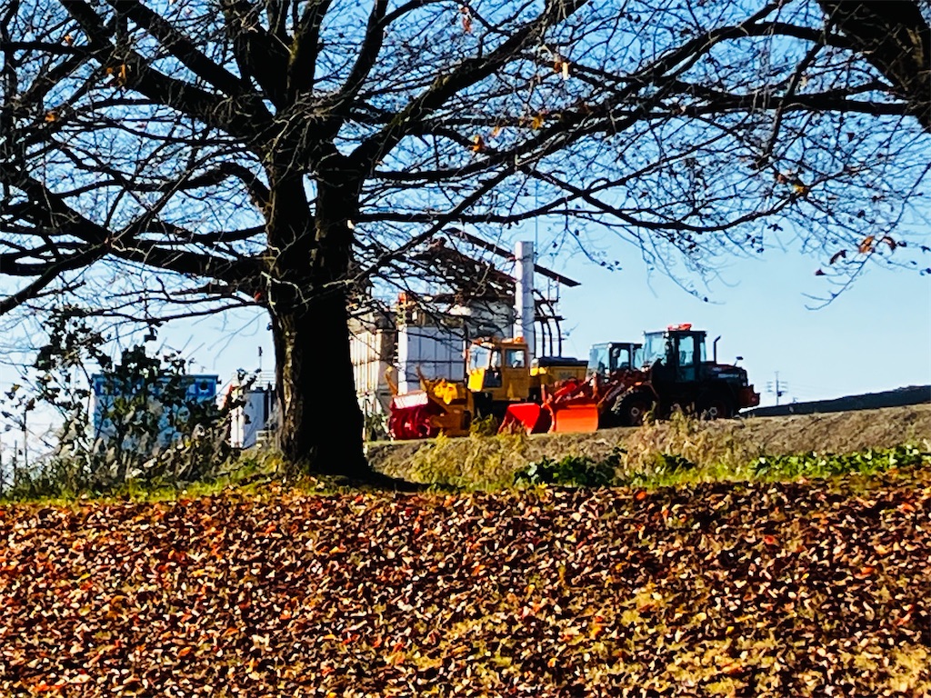 f:id:tsukushiiii:20251116172433j:image f:id:tsukushiiii:20251116172433j:image