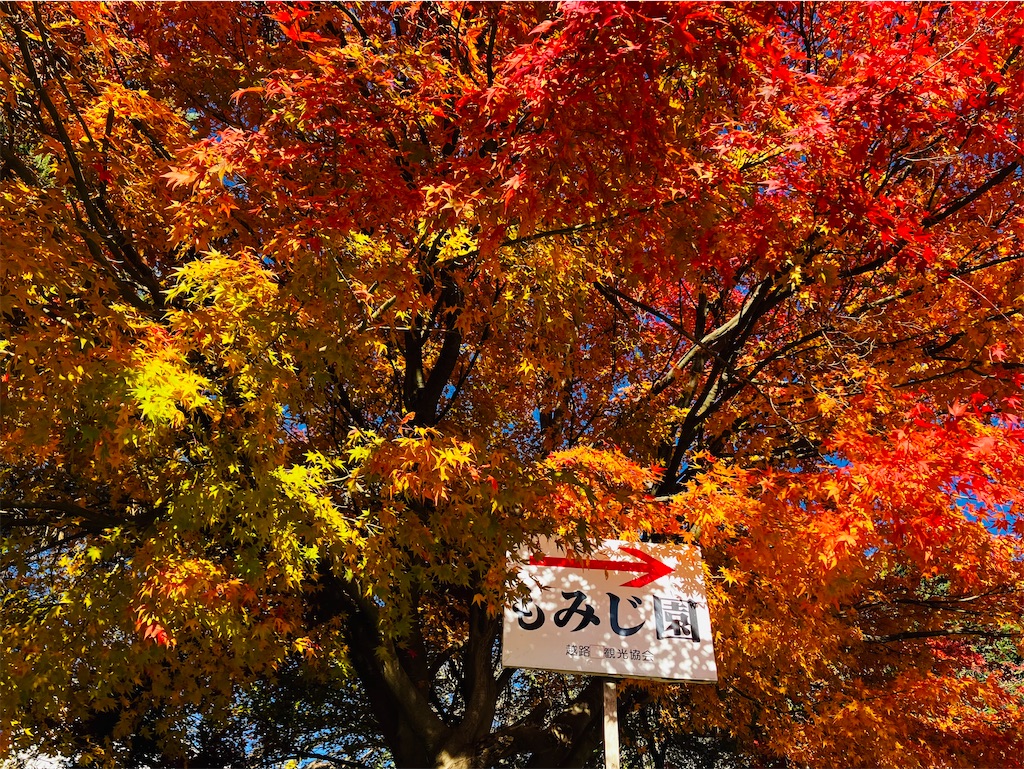 f:id:tsukushiiii:20251120223323j:image f:id:tsukushiiii:20251120223323j:image