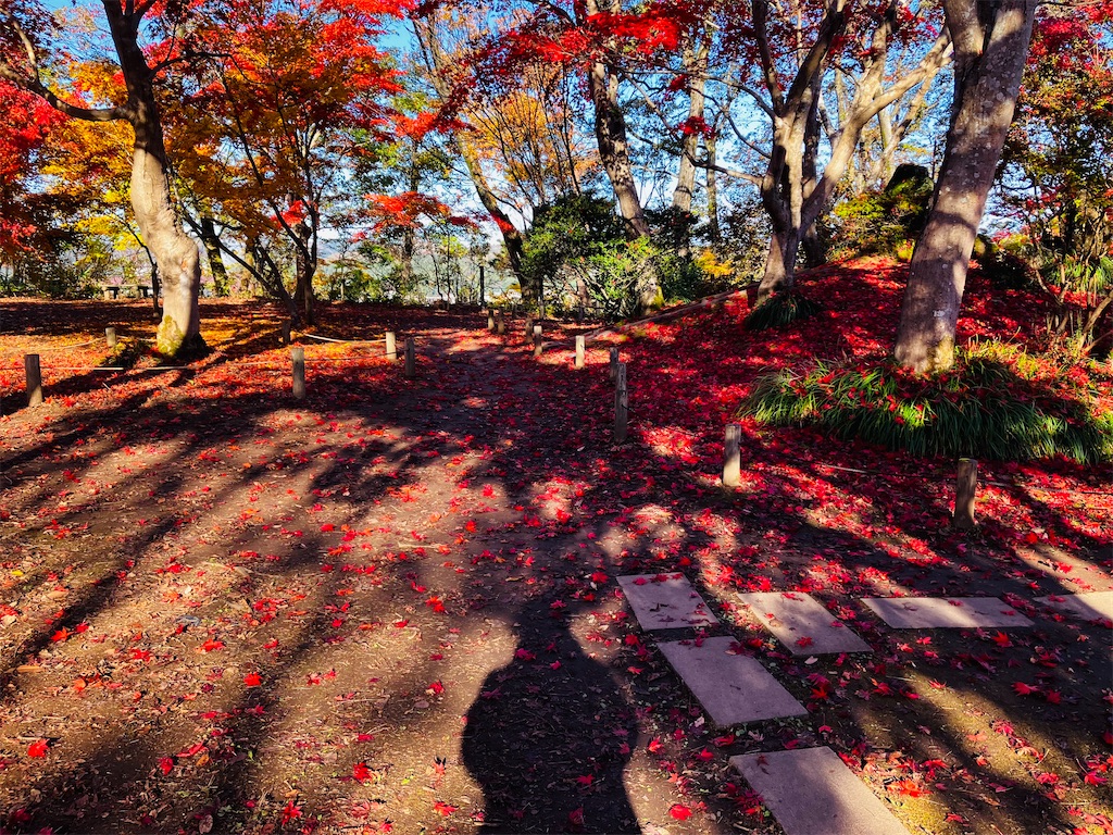 f:id:tsukushiiii:20251120223338j:image f:id:tsukushiiii:20251120223338j:image