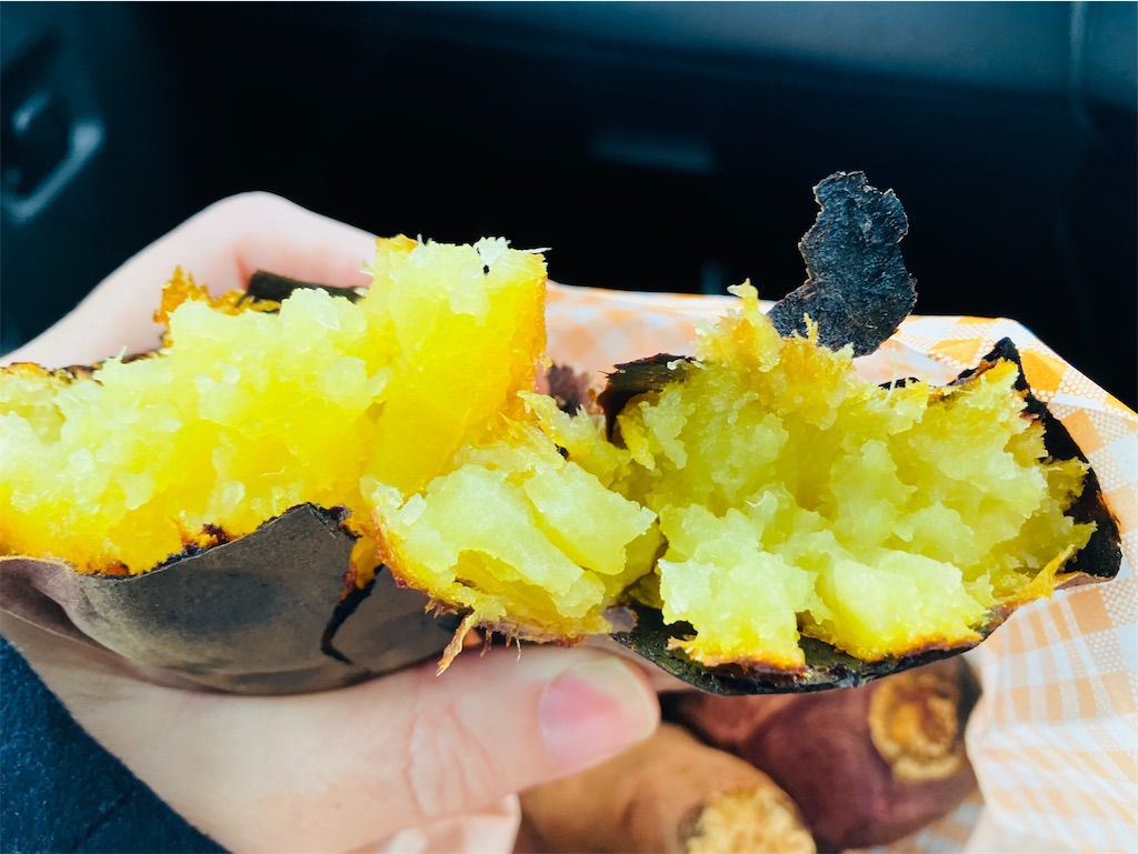 f:id:tsukushiiii:20260109113746j:image f:id:tsukushiiii:20260109113746j:image