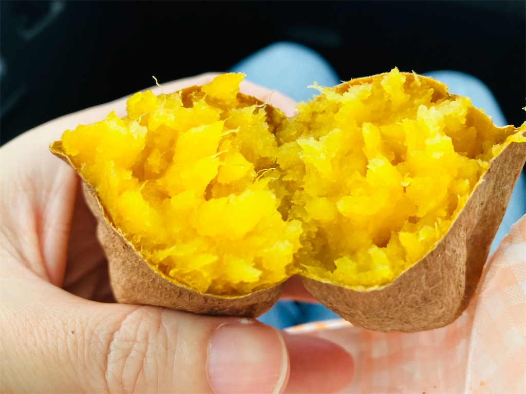 f:id:tsukushiiii:20260109113749j:image f:id:tsukushiiii:20260109113749j:image