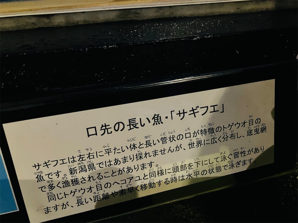 f:id:tsukushiiii:20260301231129j:image