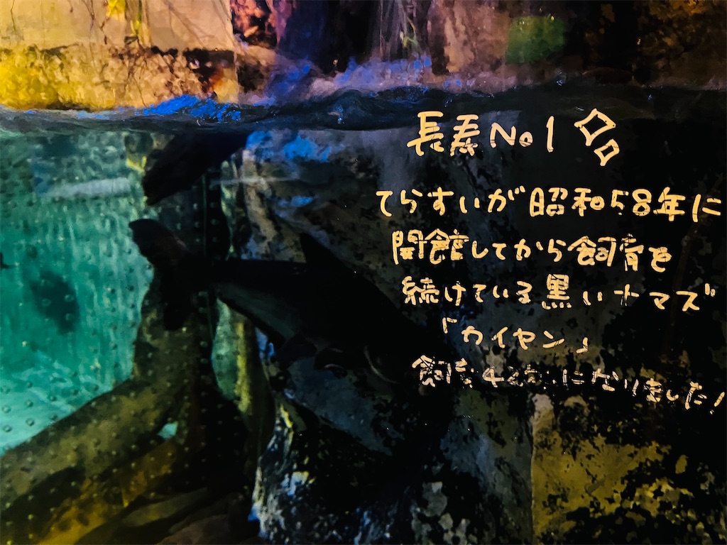 f:id:tsukushiiii:20260301231149j:image