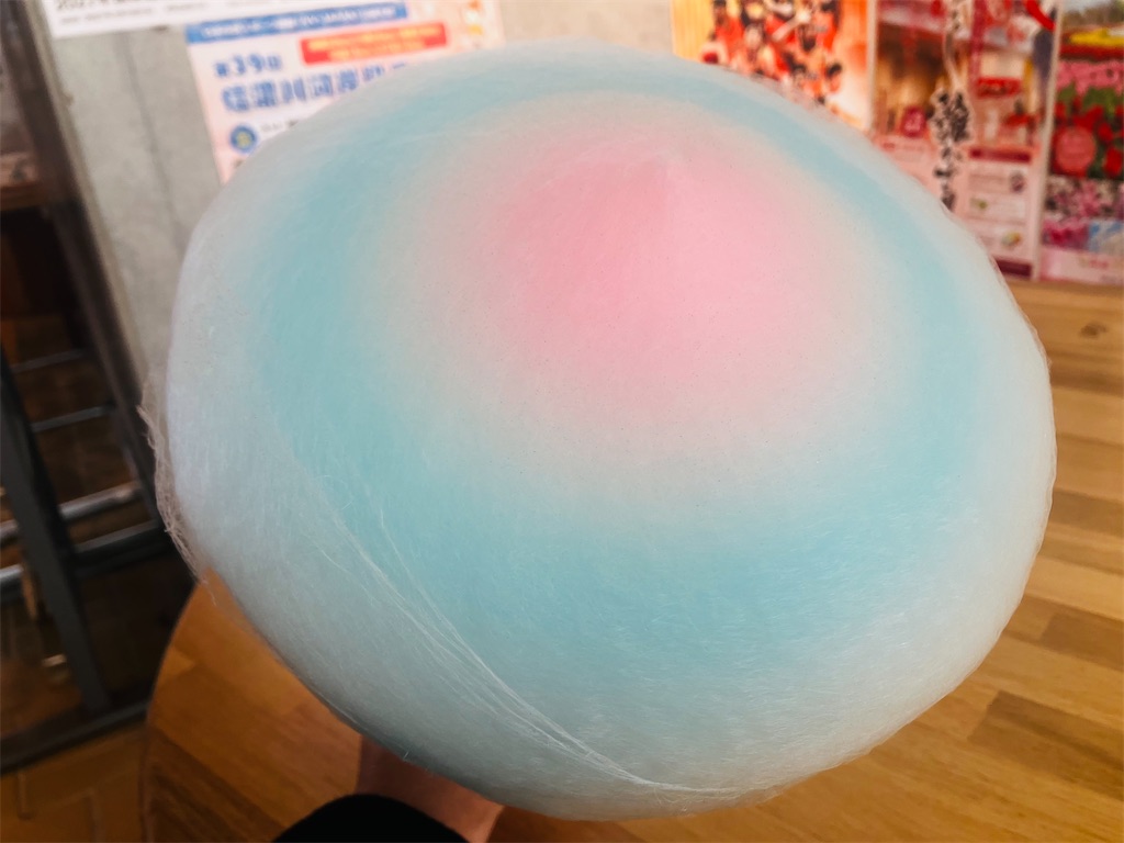 f:id:tsukushiiii:20260318090233j:image