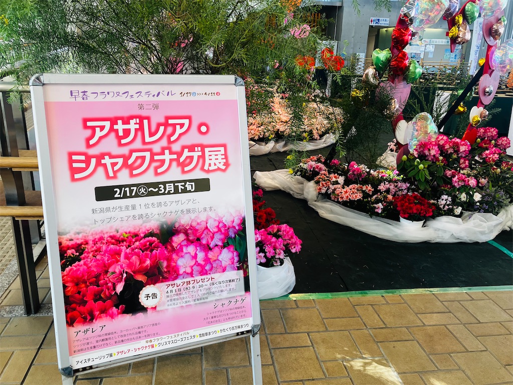 f:id:tsukushiiii:20260318090255j:image