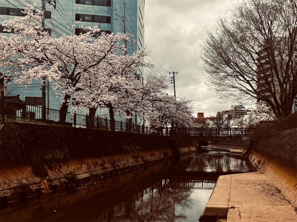 f:id:tsukushiiii:20260405172849j:image