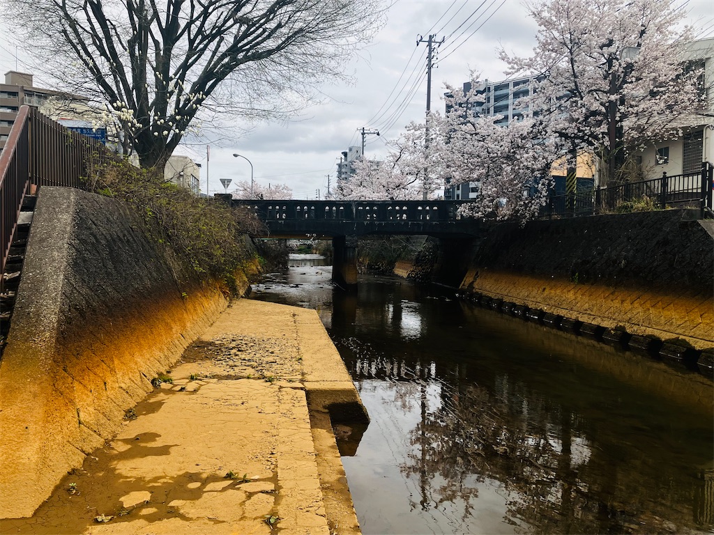 f:id:tsukushiiii:20260405172938j:image