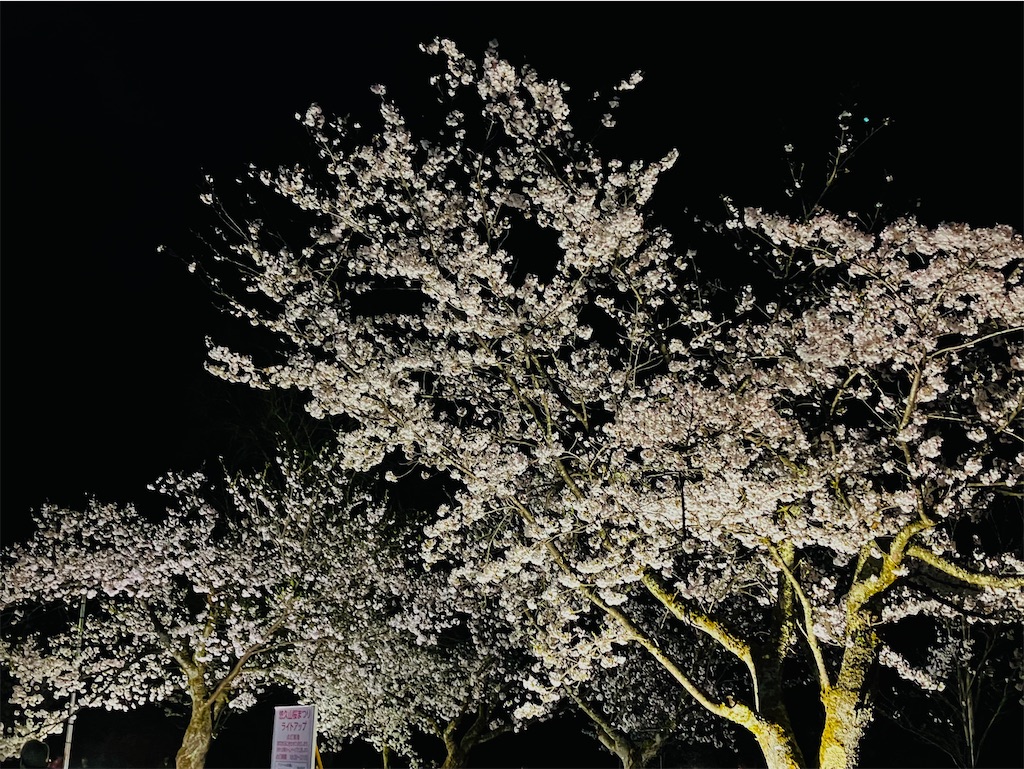 f:id:tsukushiiii:20260411222954j:image